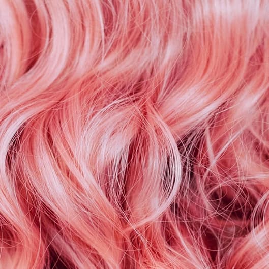 Glo Membership✨ at Flyygirl braids and beauty + Kanvas Beauty in Longmont, CO